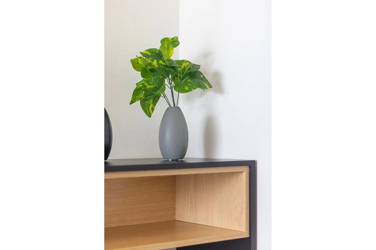 go-msjg 1605t - 2 dmt + home